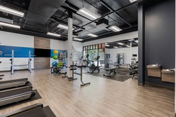 Gym with treadmills